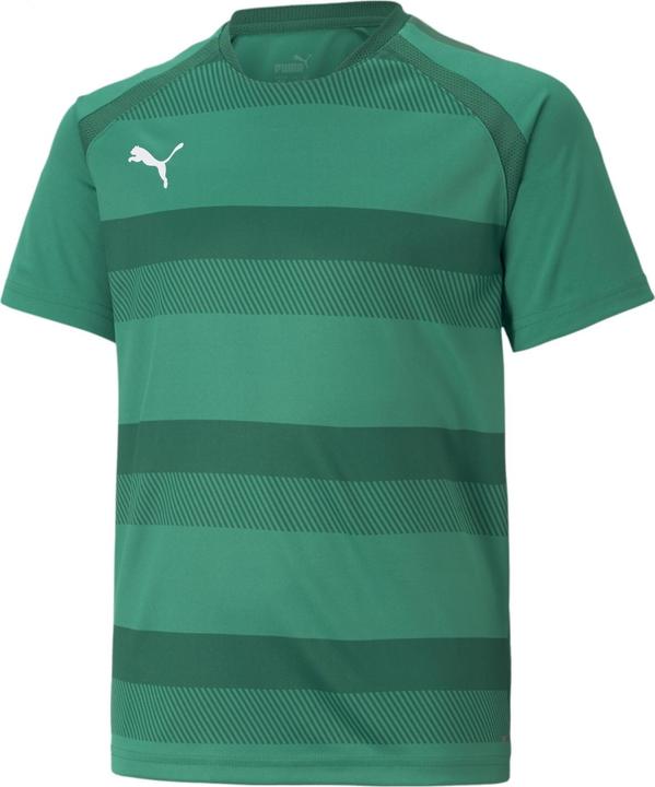 Actual product image Puma teamVISION Jersey Jr-704928 (164)