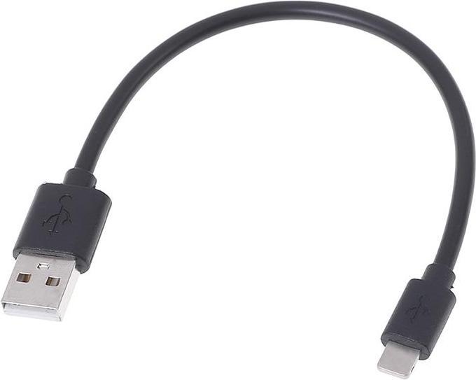 SIGN USB A — Lightning (0.25 m, USB 3.2)