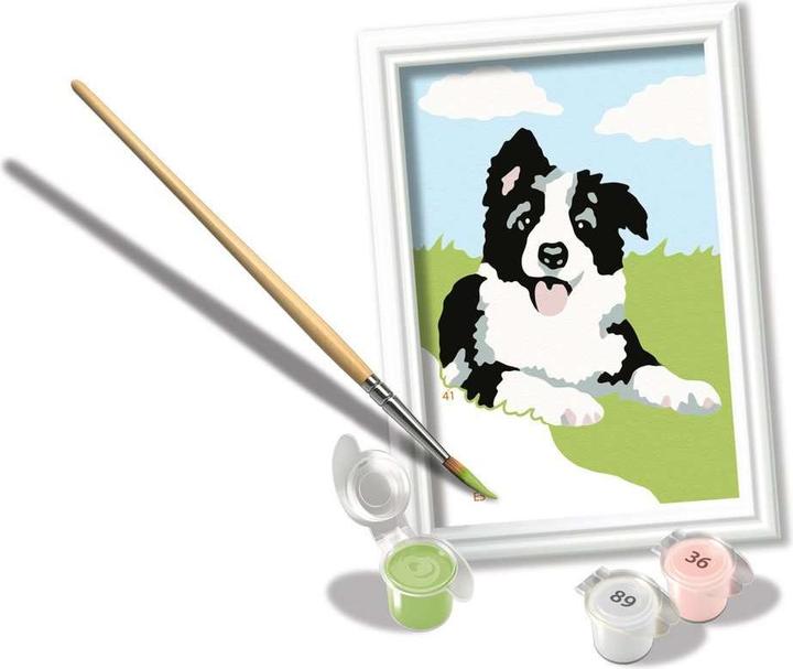 Image du produit Ravensburger Peinture par numéros - Border Collie chiot