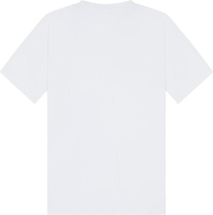 Actual product image Casual Classics Unisex Adult Combed Ringspun Cotton Tall Oversized T-Shirt (L)