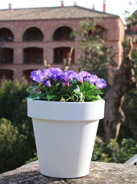 Immagine prodotto Newgarden MAGNOLIA 60 LED vaso illuminato, grande fioriera rotonda, da esterno E27 ø57x57cm IP65
