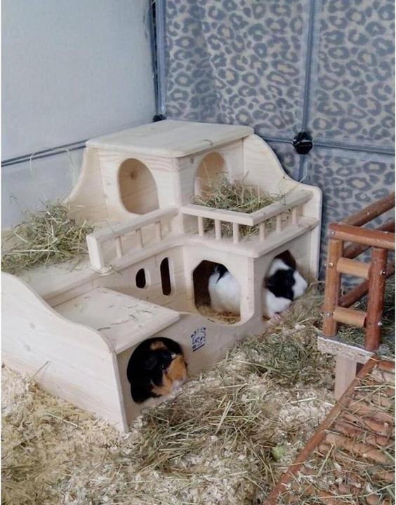 Produktbild Meerschweinchenhaus Schloss