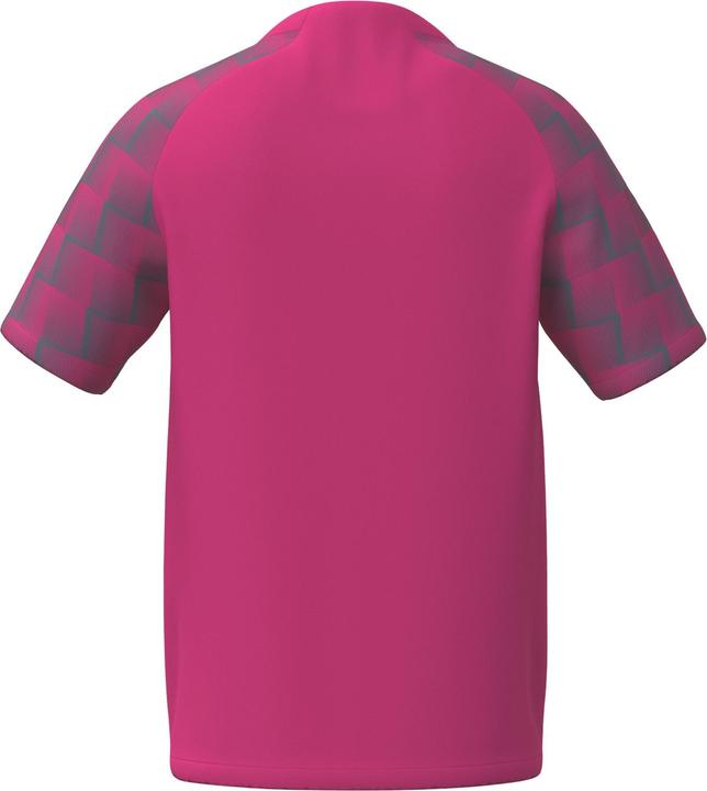 Actual product image Erima Evo Star jersey (S)