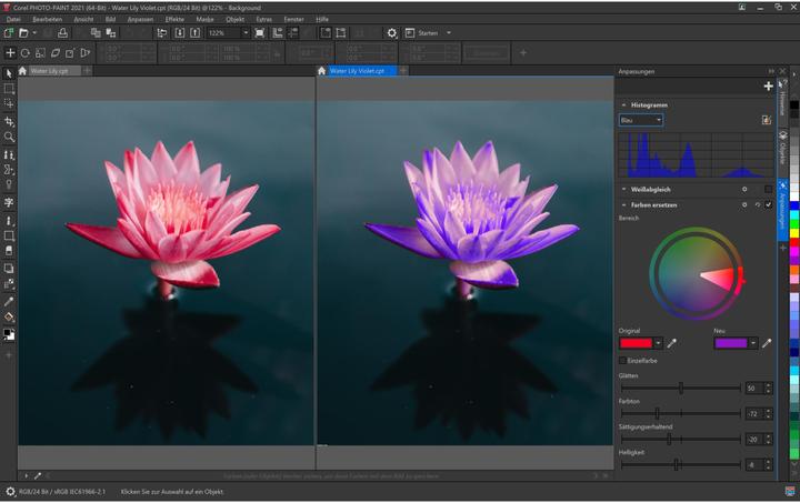 Actual product image Corel Draw Graphics Suite Agnostic Box, Subscr., 1yr, WIN, EN (1 User, 12 months)