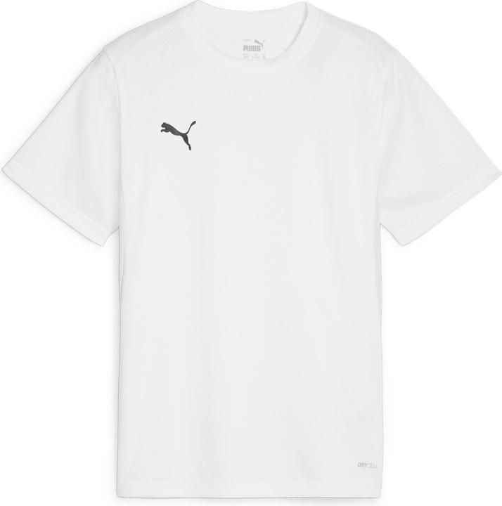 Immagine prodotto Puma Maglia TeamGOAL Jr (152)