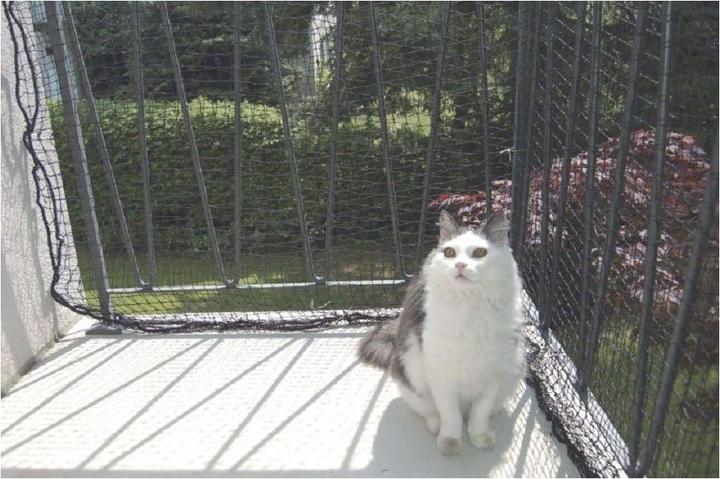 Actual product image Windhager Cat protection net