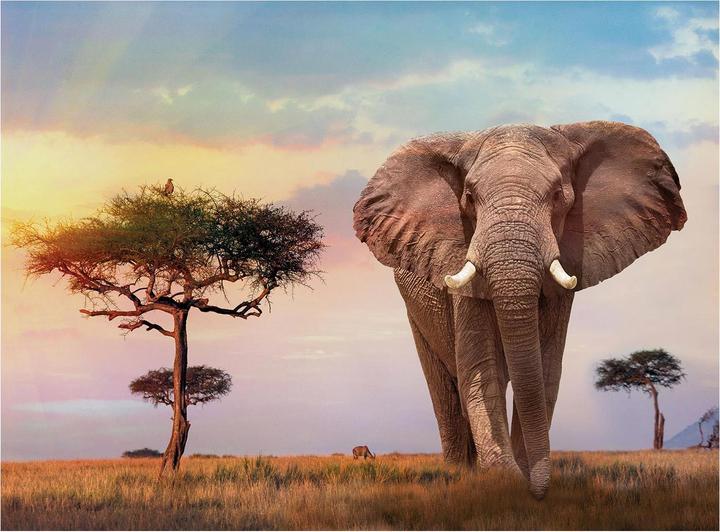 Immagine prodotto Clementoni Puzzle tramonto africano g (500 pezzi)