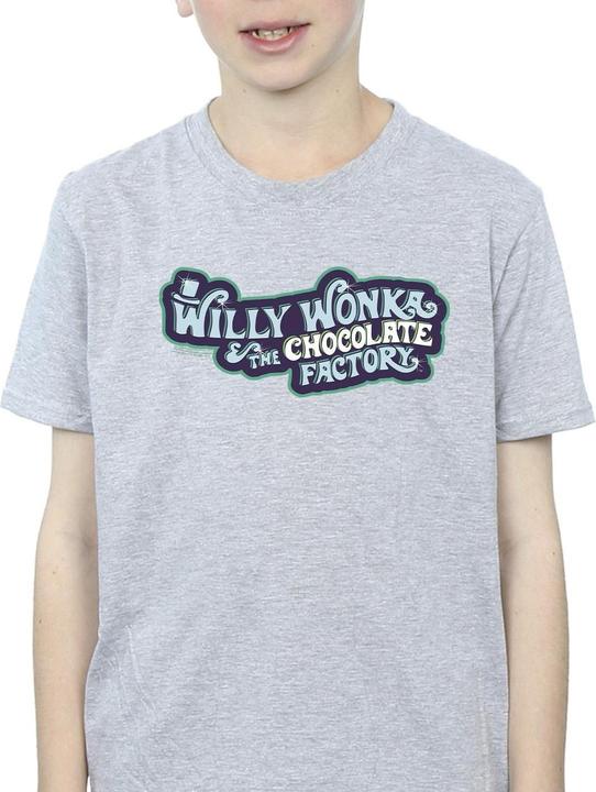 Actual product image Willy Wonka & the Chocolate Factory Boys Chocolate Factory Logo T-Shirt (140, 146)
