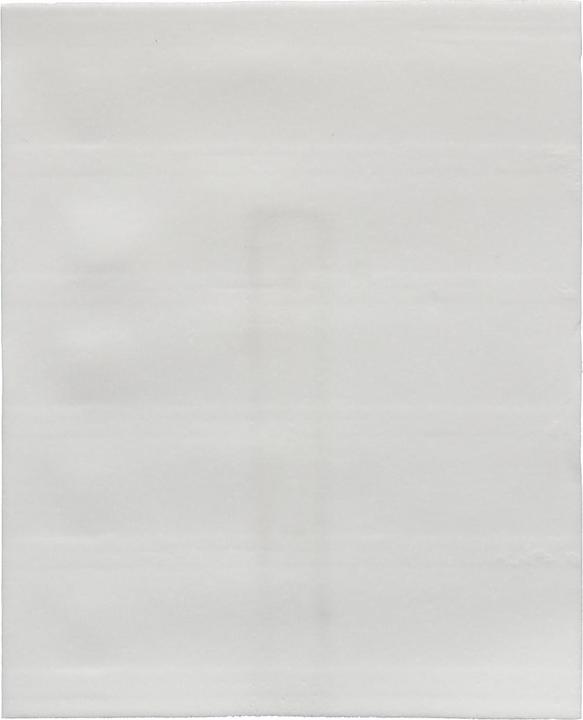 Actual product image bluu Universal washing strips (60 Washing cycles, Sheets)
