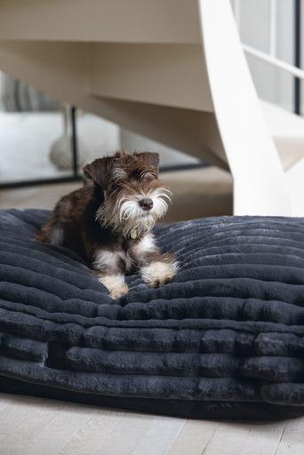 Actual product image Designed by Lotte Reza reclining cushion (Dog)