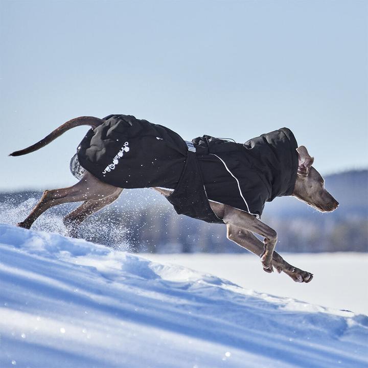 Immagine prodotto Hurtta Extreme Warmer V3 Eco Blue, 55 cm (55, Cappotto per cani)