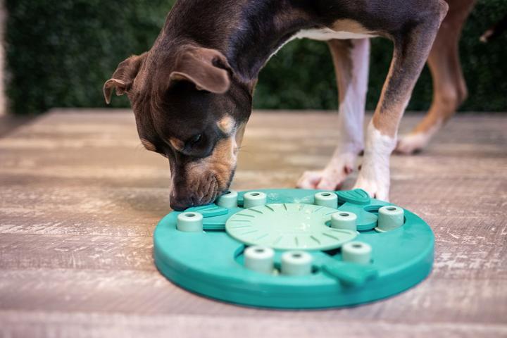 Produktbild Nina Ottosson Dog Worker Composite Level 3 (Intelligenzspielzeug Hund)