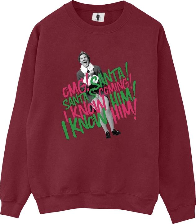Image du produit Elf - Sweat SANTA'S COMING - Homme (L)