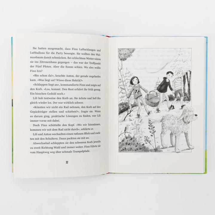 Produktbild Internat Schloss Sommerberg - Fünf Pfoten und der geheimnisvolle Steinbruch (Deutsch, Susanne Oswald, 2023)