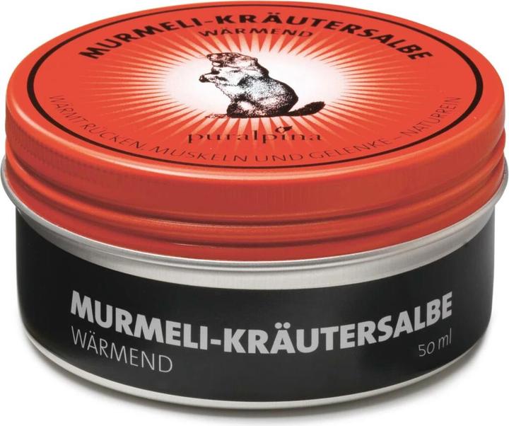 Puralpina Murmeli Kräutersalbe (1 x, 50 ml, 60 g)