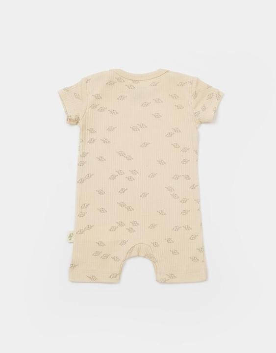 Actual product image BabyCosy 2 Pcs short sleeved Rompers (56)