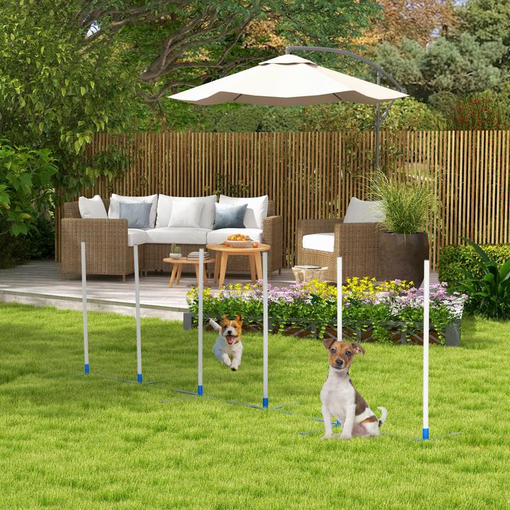 Actual product image PawHut Dog training set incl. bag (Agility)
