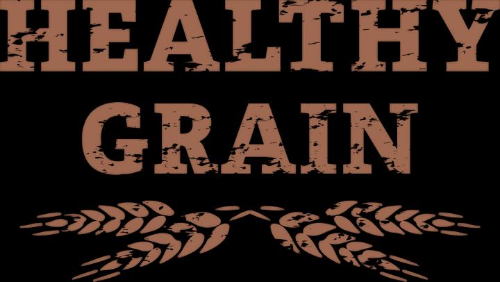 Actual product image Raw Paleo Healthy Grain Puppy Salmon & Barley (Puppy + kitten, 2000 g)