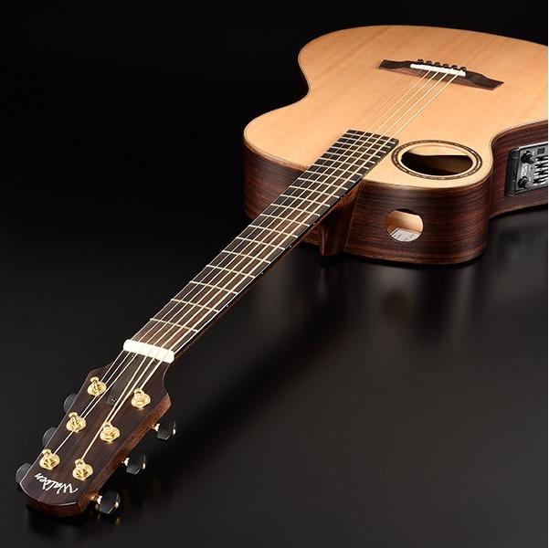 Immagine prodotto Walden B1E Baritone Westerngitarre (Chitarra occidentale, Palissandro, Peccio, Alluminio, Osso)