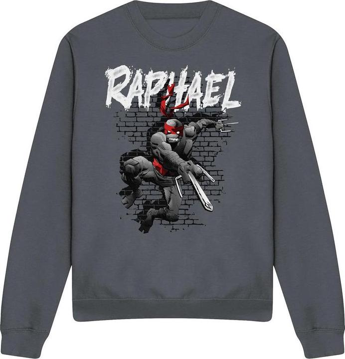 Produktbild Teenage Mutant NT Sweatshirt (XXL)