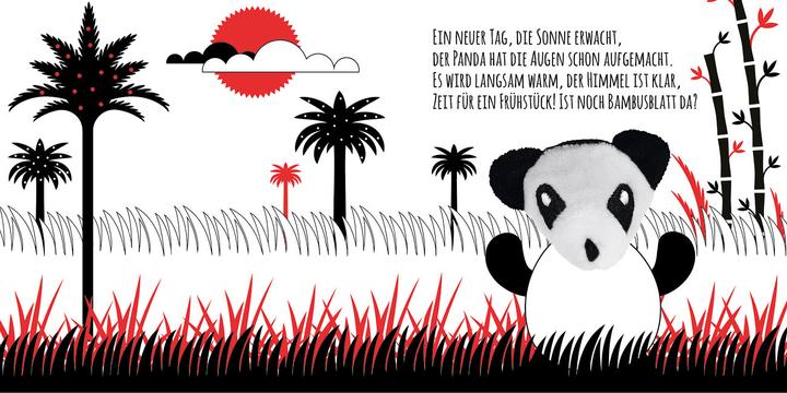 Image du produit Livre de contraste pour bébé Regarde, petit panda (Allemand)