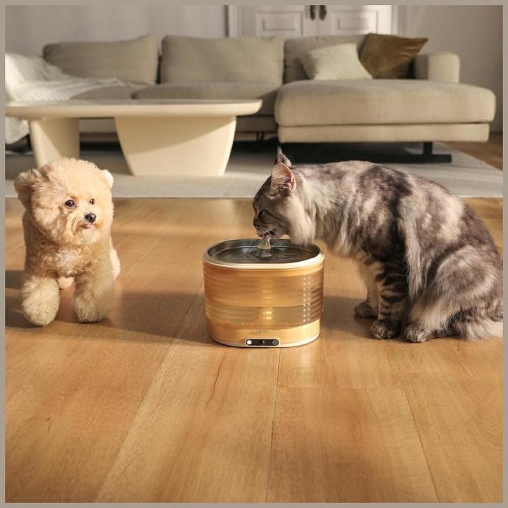 Actual product image NoName Rola Fountain – kabelloser Trinkbrunnen/Wasserspender mit Filter für Katzen