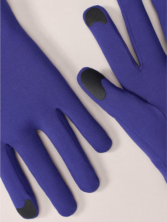 Image du produit Arc'teryx Rho (M)