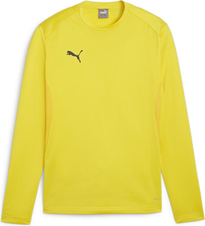 Puma teamGOAL Training Sweat