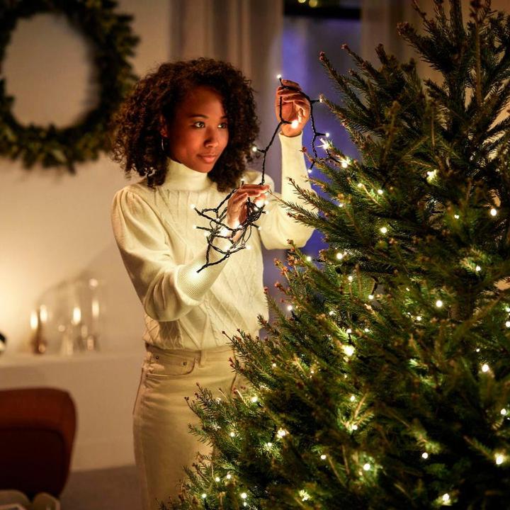 Produktbild Philips Hue Festavia (EU Stecker) (20 m)