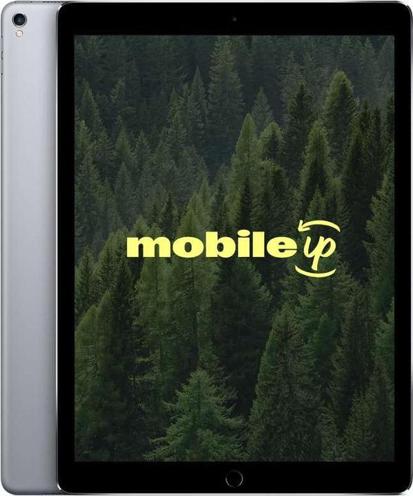 Produktbild mobileup 12,9" Apple iPad Pro 2017 (2. Gen) (12.90", 256 GB, Space Gray, A / Wie neu)