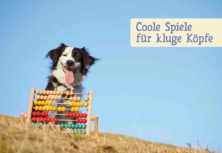 Produktbild Spiele und Action für ausgeglichene Hütehunde (Deutsch, Marion Albers, 2023)