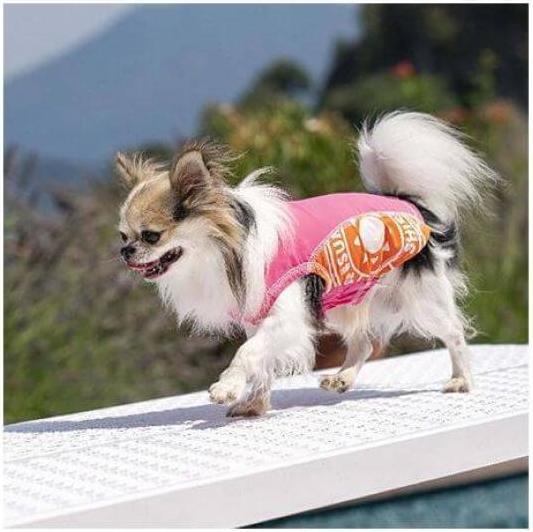 Produktbild Croci Amtra Top Anti-UV-Sunshield (50, Hundepullover)