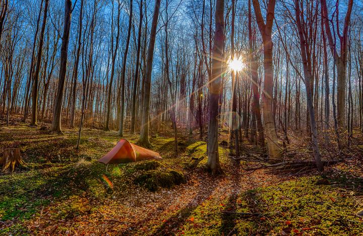 Image du produit Nordisk Lofoten 1 Tent (Tente tunnel, 0.49 kg, 2 personnes)