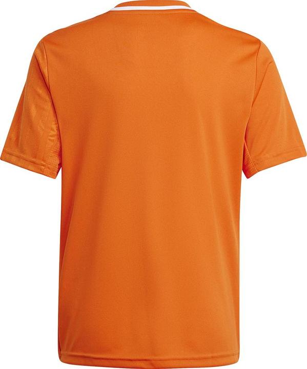 Immagine prodotto adidas Maglia Campeon 25 Bambini (116)