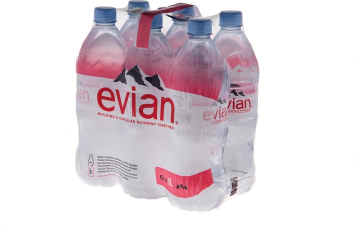 Actual product image Evian Mineral water (6 x 100 cl)