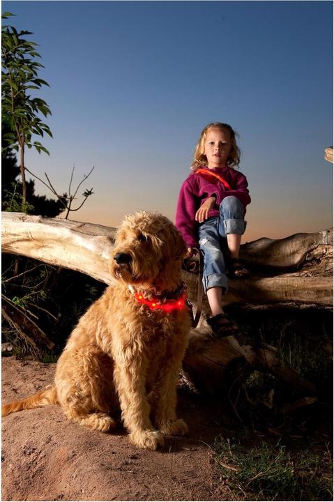 Produktbild Karlie Viso Light (L, Hund, Spazieren)