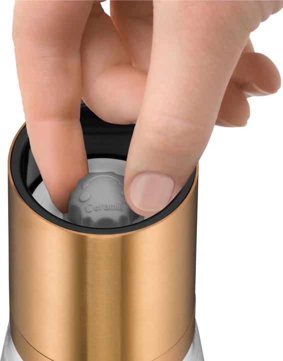 Actual product image WMF deluxe (Salt, Pepper)