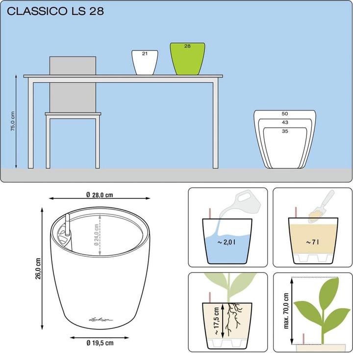 Immagine prodotto Lechuza Classico (28.50 cm)