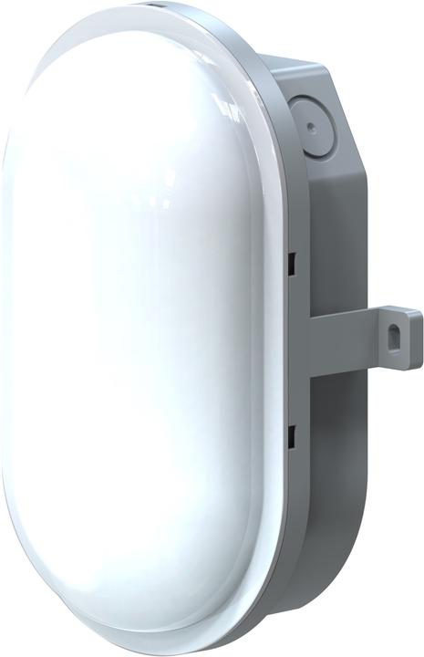 IDV LED oval luminaire (1000 lm)