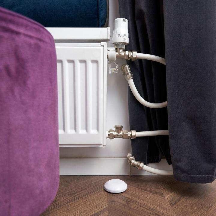 Actual product image Shelly Flood WiFi flood & temperature sensor