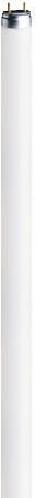 Immagine prodotto Osram Tubo (G5, 8 W, 420 lm, 1 x, G)