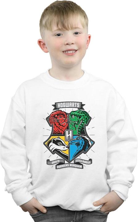 Immagine prodotto Hogwarts Toon Crest Felpa Ragazzi (140, 146)