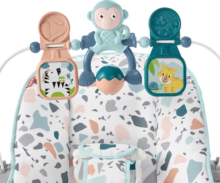 Actual product image Fisher-Price Baby's Bouncer