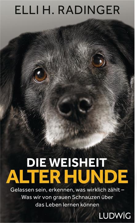 Image du produit Die Weisheit alter Hunde (Allemand, Elli H. Radinger, 2018)