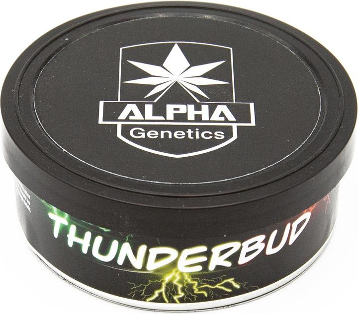 Produktbild Alpha Genetics Thunderbud Seeds 5pcs (Keimlinge)