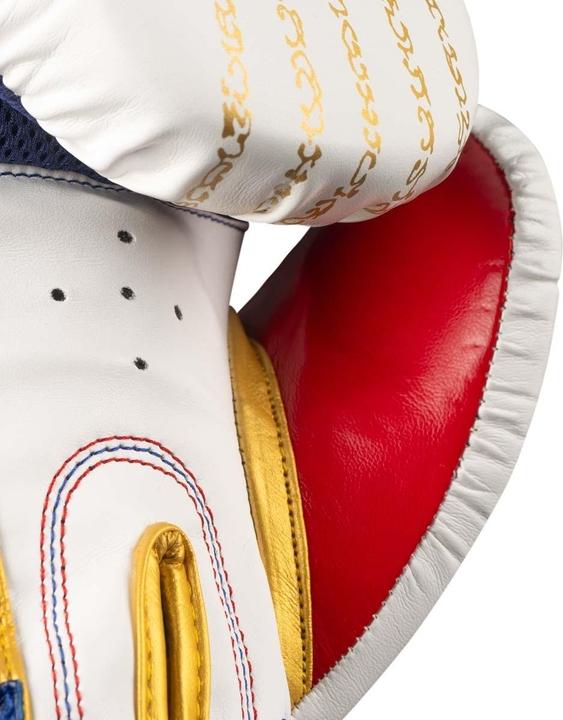 Image du produit Phantom Athletics Muay Thai Boxhandschuhe (14 OZ, Taille unique)