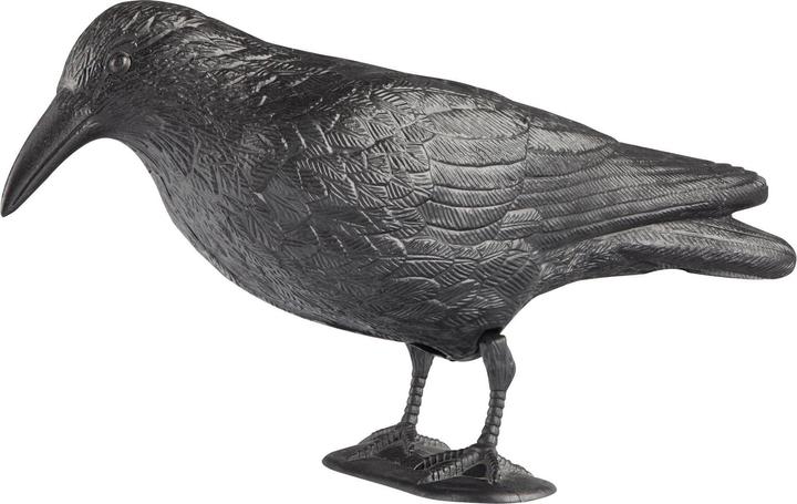 Windhager Tierfigur Rabe
