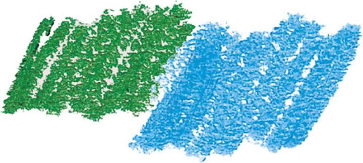 Immagine prodotto Djeco Colori a pastello a cera (Multicolore, 8 x)
