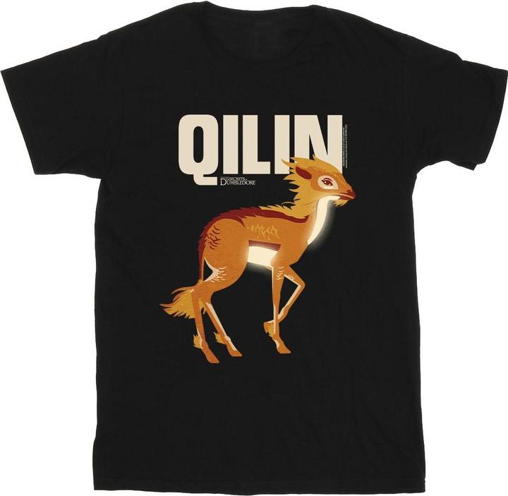 Produktbild Fantastic Beasts Qilin Character TShirt Jungen (152, 158)
