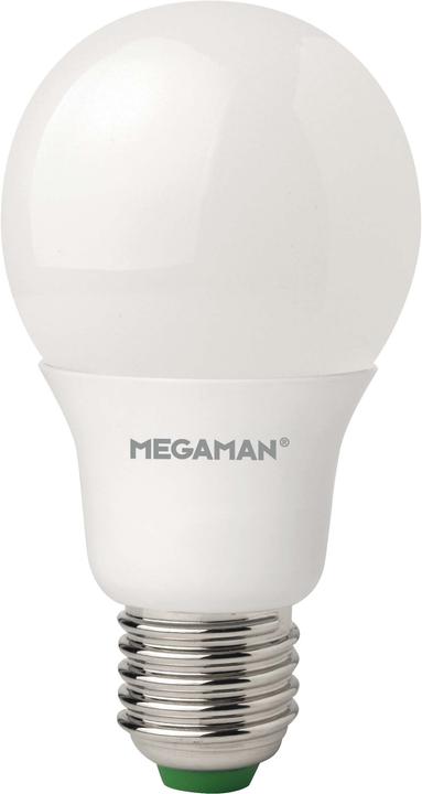 Lampadina